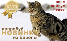Araton - ����� ���� ������� ������