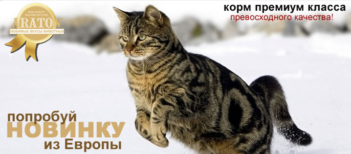 Araton - ����� ���� ������� ������
