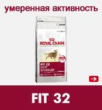 FIT 32