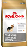 YORKSHIRE JUNIOR