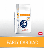 EARLY CARDIAC CANINE