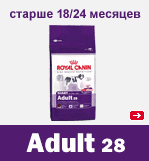 GIANT ADULT 28