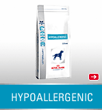HYPOALLERGENIC CANINE