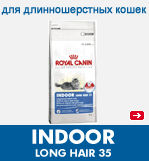 INDOOR LONGHAIR 35