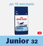 MAXI JUNIOR 32