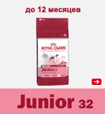 MEDIUM JUNIOR 32