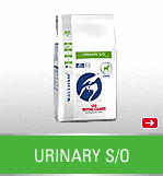 URINARY CANINE